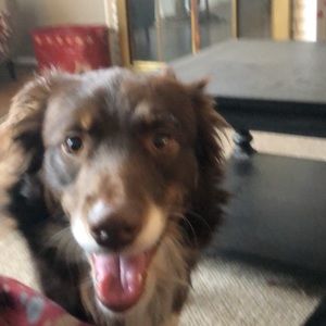 Meet your Posher, Luke